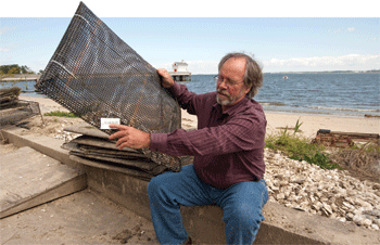 Standish Allen checks a bag of his best-performing seed oysters by Michael W. Fincham