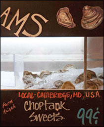 Choptank Sweets and Choptank Salts by Michael W. Fincham