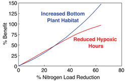 Benefits of Reducing Nutrients