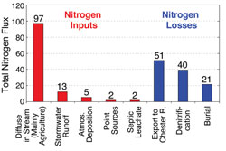 Benefits of Reducing Nutrients