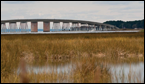 Bridge to Hooper's Island by Erica Goldman