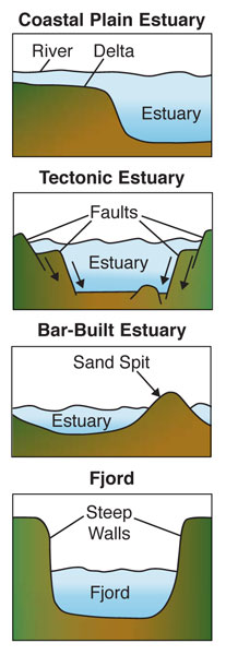 Types of Estuaries, Source: Office of Naval Research