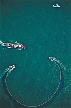  two skiffs to encircle the school with a purse seine net by www.oceansart.us