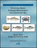 Ecosystem Based Fisheries Management for Chesapeake Bay cover