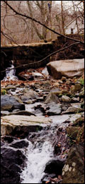 Dam photograph by Michael W. Fincham