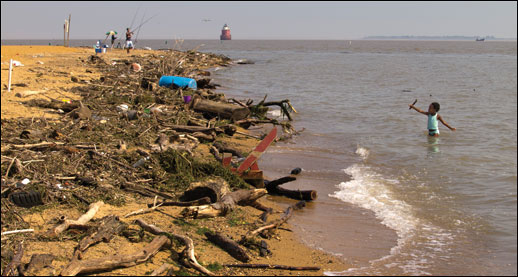 Sandy Point State Park near Annapolis, Maryland. Photograph by David Harp.