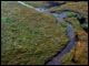 overview of marsh area