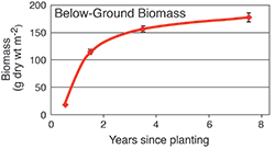 Below-ground biomass. Graph source: Data courtesy of Lorie Staver