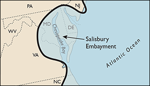 Salisbury Embayment redrawn by Sandy Rodgers from figures in Clark et al. 2004