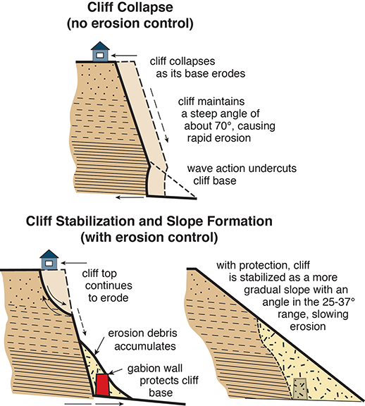 Erosion at Calvert Cliffs ways illustrations adapted by Sandy Rodgers from figures in Clarke et al. 2004