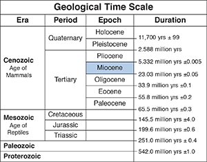 Geologic time scale adapted from a USGS graphic