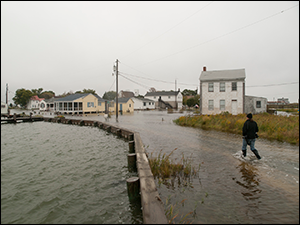 Maryland's Smith Island. Photograph: David Harpe