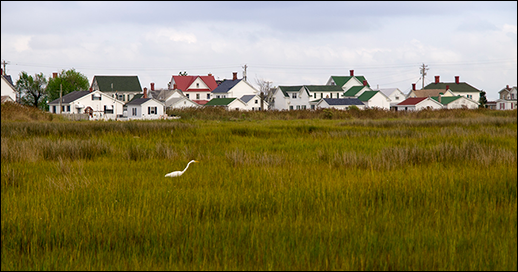 Tangier Island. Credit: David Harp