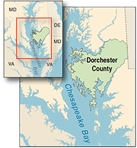 Dorchester County courtesy of University of Texas Map Library