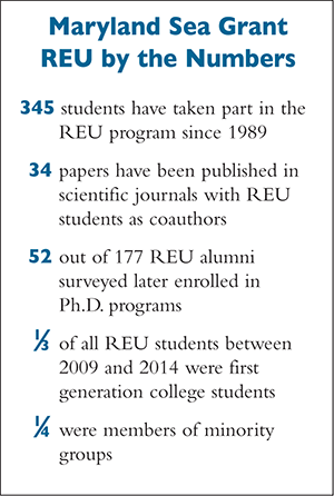 REU by the Numbers