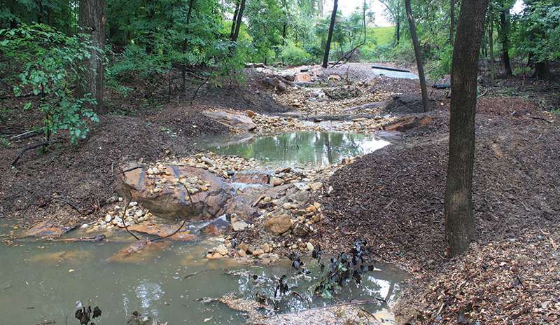 Little Pimmit Run at Chesterbrook Road Stream Restoration and Sanitary  Sewer Realignment