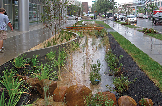 Rain garden on First Street, N.E., Washington, D.C. Credit:  D.C. Department of Energy and Environment