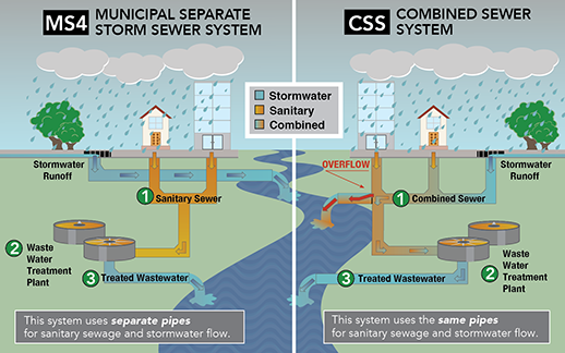 A network of underground pipes called the MS4 discharges Washington's stormwater into local waterways with little treatment. Credit:  D.C. Department of Energy and Environment