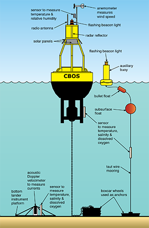 A typical CBOS observing station. Illustration adapted by Sandy Rodgers from a drawing by Carole Derry and Bill Boicourt
