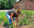 Belinda Thomas, wife of the minister, cleans up one of the five gardens at Empowering Believers Church of the Apostolic Faith in Glen Burnie, Maryland. Photograph, Michael W. Fincham