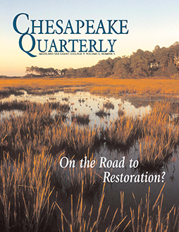 Bay marsh, cover of Chesapeake Quarterly Volume 15, Number 2. Photograph, Skip Brown