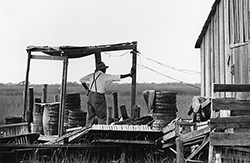 On marshy, isolated Smith Island, a crabber waits for the first peeler. Photograph courtesy of Mame Warren