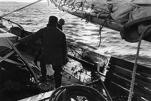 Watermen watch an oyster dredge hit the deck. Photograph courtesy of the Chesapeake Bay Maritime Museum
