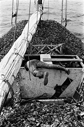 A skipjack is loaded down during shell-moving season. Photograph courtesy of the Chesapeake Bay Maritime Museum