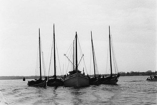 Four skipjacks raft up to sell their oysters to a buyboat. Photograph courtesy of the Chesapeake Bay Maritime Museum