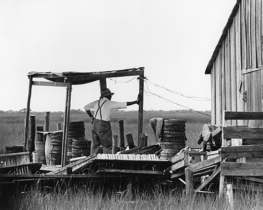 On marshy, isolated Smith Island, a crabber waits for the first peeler. Photograph courtesy of Mame Warren