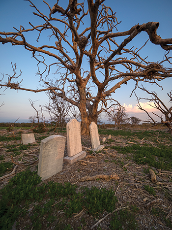 Gravestones recall past lives on now-deserted Holland Island. Photograph courtesy of David Harp