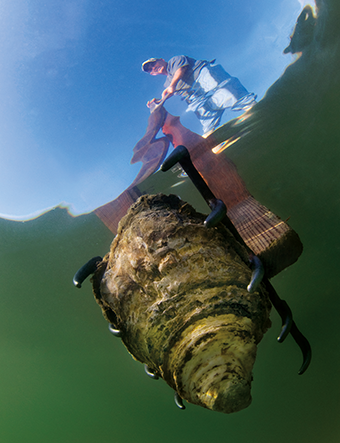 Fish potting to catch channel catfish and blue catfish. Photograph courtesy of Jay Fleming