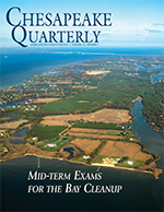 issue cover - Looking north along Maryland's Kent Island toward the Bay Bridge, you can see a diversity of land uses. Excess nutrients and sediment washing off the Chesapeake Bay's watershed are causing harm to the estuary's ecosystem. Scientists are using computer simulations to quantify these causes and effects to help leaders find the right solutions. Photograph, David Harp