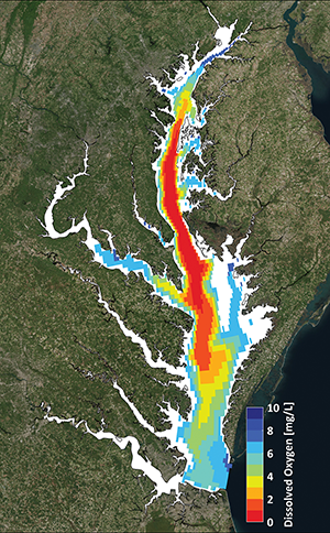 Summer 2015 conditions, red and dark orange indicate deep areas with deprived of oxygen. Graphic by Aaron Bever (Anchor Qea) And Marjorie Friedrichs (Virginia Institute Of Marine Science)
