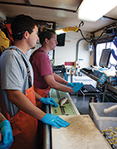Bay Eagle's shipboard lab. Photograph, Jeffrey Brainard
