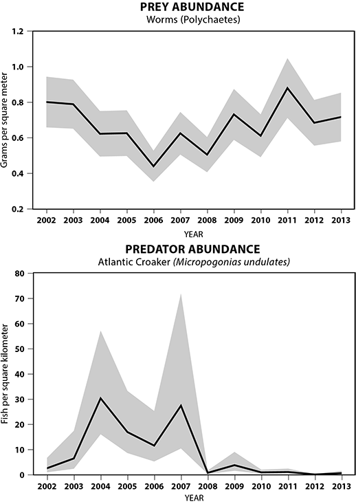 Graphs of predator and prey adundances over time
