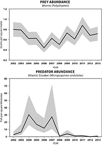 Graphs of predator and prey adundances over time