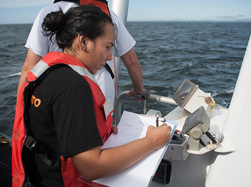 REU student recording data during a summer cruise. Photographer, Nicole Lehming