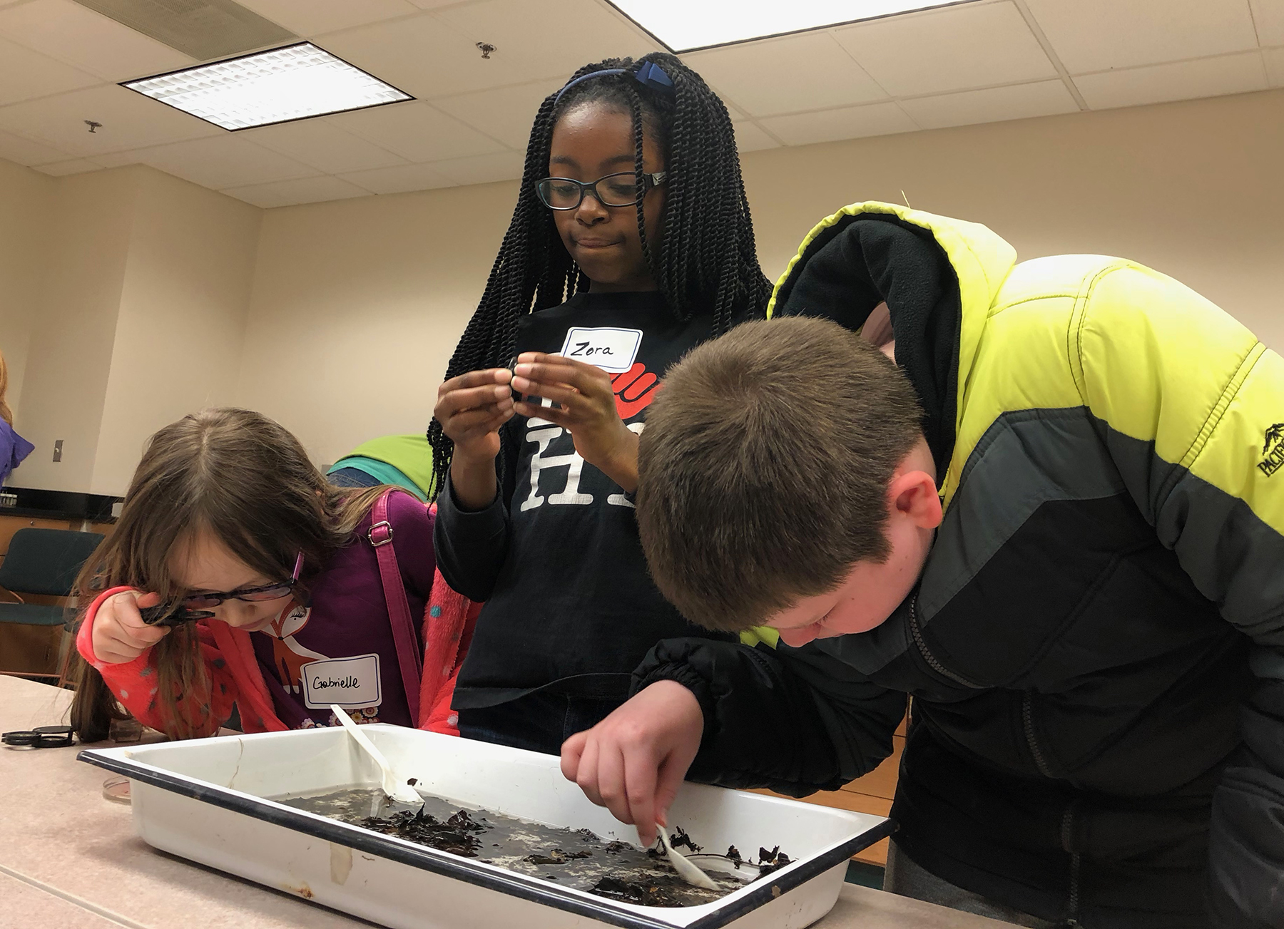 Local students Gabrielle Rinard, Zora Edmondson, and Kevin Rinard (left) look for bugs in the Appalachian Laboratory.