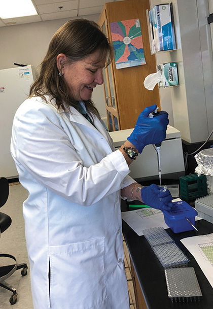 Geneticist Maile Neel with a pipette, testing the genetic makeup of the celery.