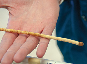 A hand holding a dried core sample before it is prepared for the spectrometer.