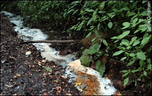 Acid mine drainage releases sulfuric acid and iron from the rock, turning the water burnt orange.