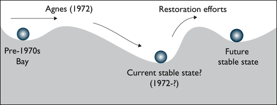 ball and cup diagram showing how the Bay has been resilienct from the 1970s to the future