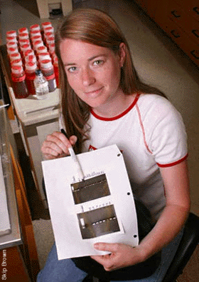 Holly Bowers checks photograph of a DNA gel for evidence of Pfiesteria - by Skip Brown