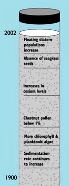 thumbnail of a schematic of a typical sediment core