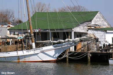 The skipjack City of Chrisfield at a dock in Eastern Shore, Maryland - photo by Skip Brown