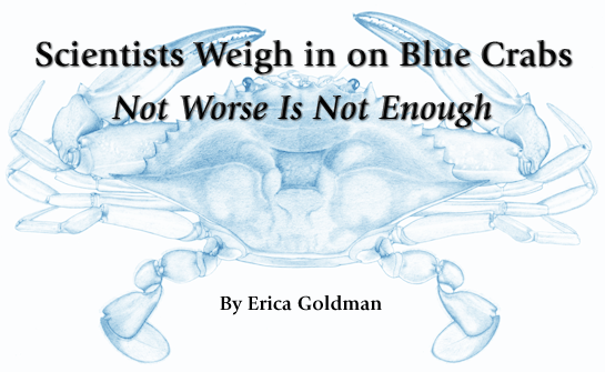 Scientists Weigh in on Blue Crabs - Not Worse Is Not Enough. By Erica Goldman