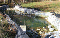 A drain pool near a stormwater pipe