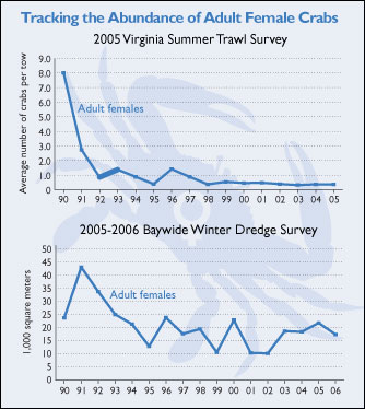 two graphs showing decline of female crabs numbers