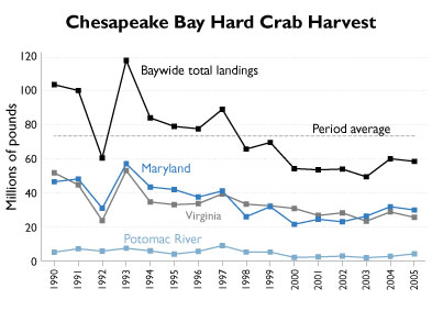 graph showing decline in hard crab harvest 1990-2006